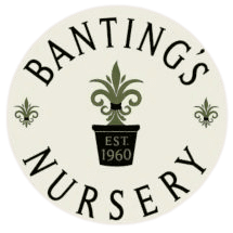 Banting's Nursery Northshore