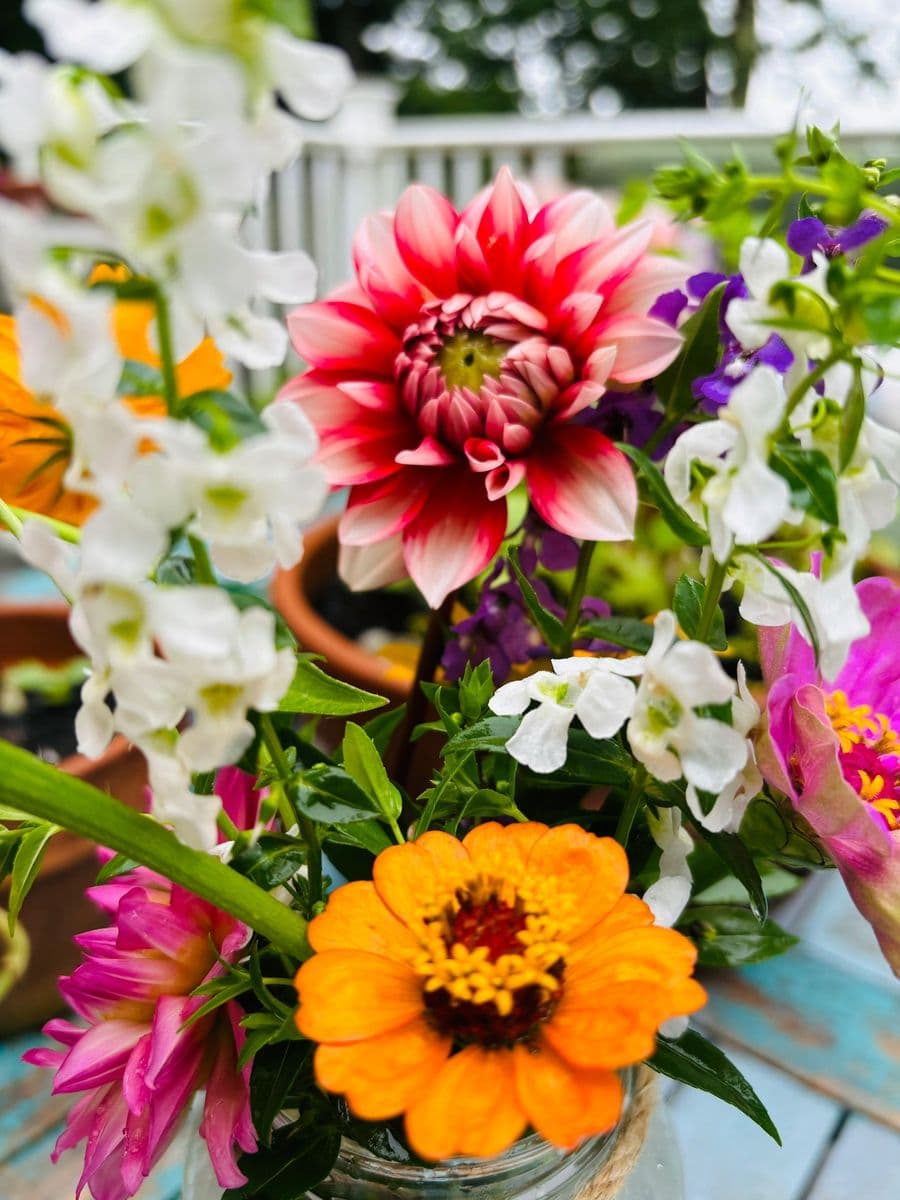 Café de Flore at Wildflowers Farm