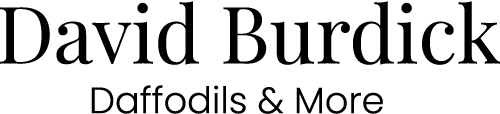 David Burdick Daffodils & More
