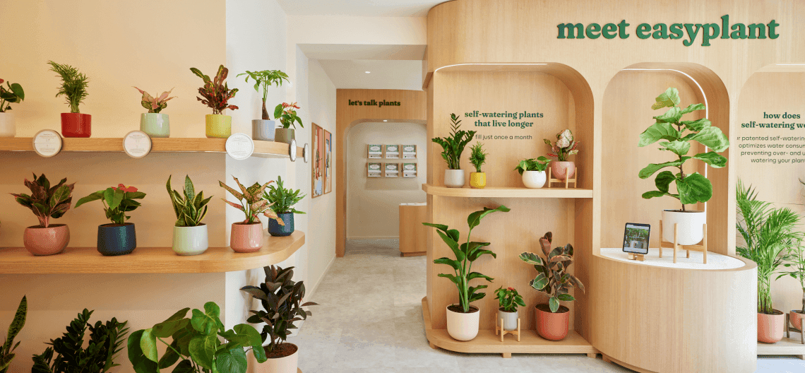easyplant Nolita