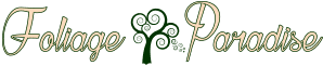 Foliage Paradise