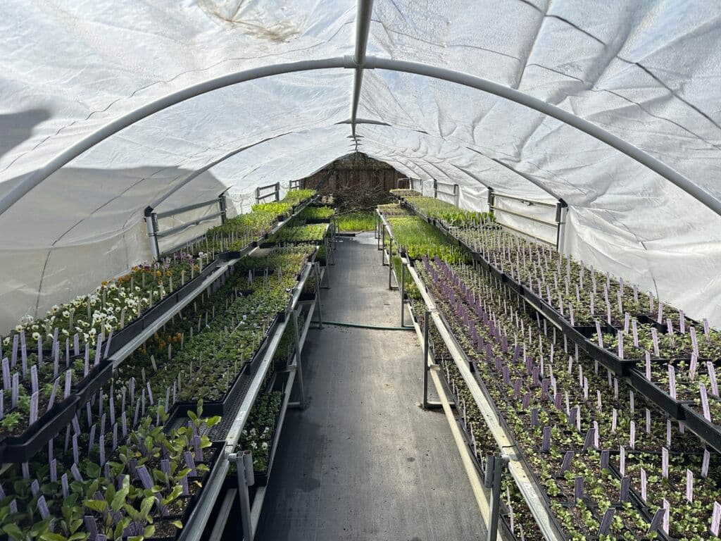 Harmony Farm Supply & Nursery
