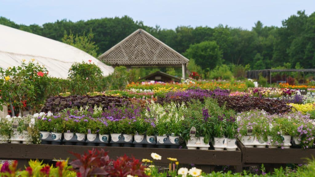 Mahoney's Garden Center
