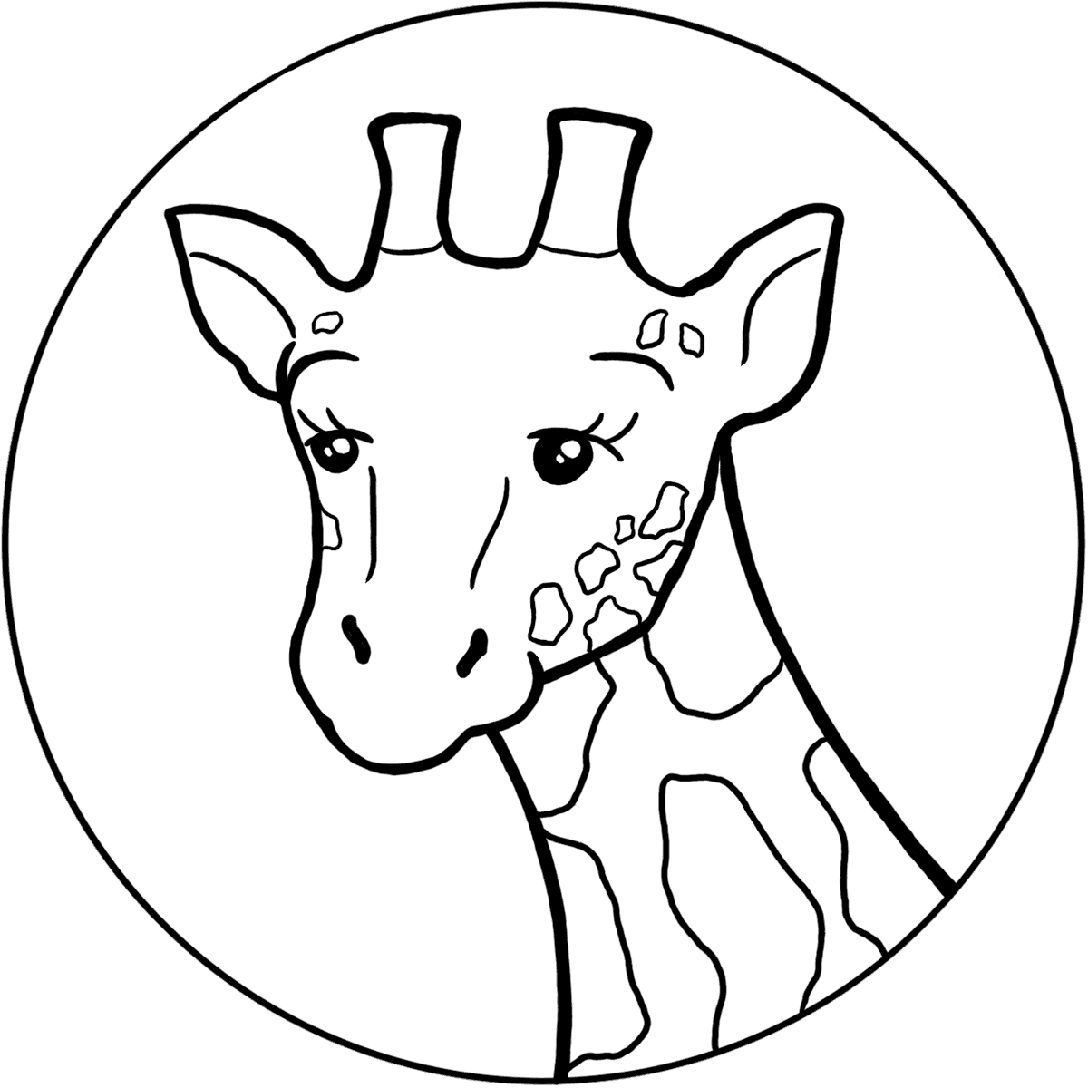 New Leaf Plants & Supplies