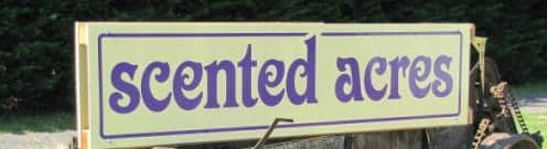 Scented Acres Lavender Farm