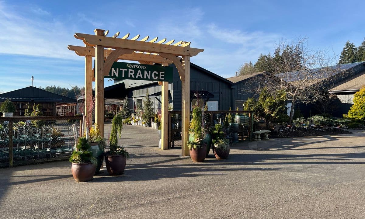 Watson’s Greenhouse and Nursery